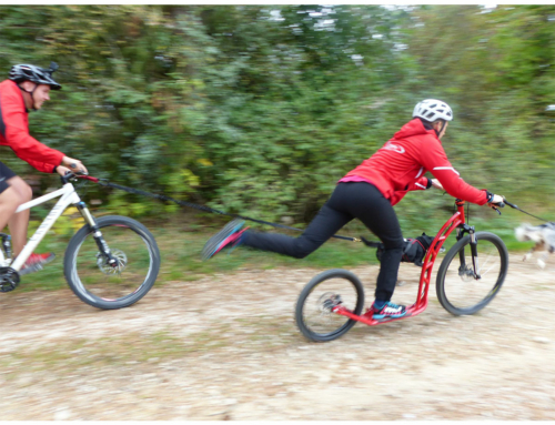 Schwarzes Gold Teil 2 – Vittoria Reifen und Felgen