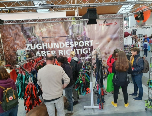 Roadtrip auf Messen und Rennen