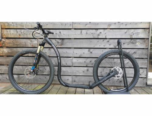 Dogscooter – welcher? und wieso?