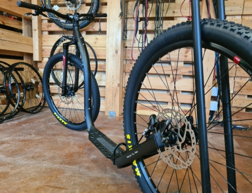 Schwarzes Gold: Reifen fürs Bikejöring und Dogscootern